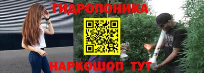 mix Кингисепп