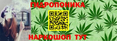 СК Кинель