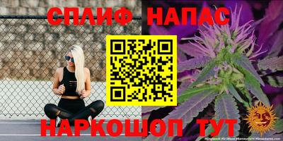 гашиш Кимры
