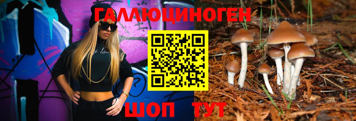 Галлюциногенные грибы Cubensis Краснознаменск